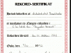 rekord